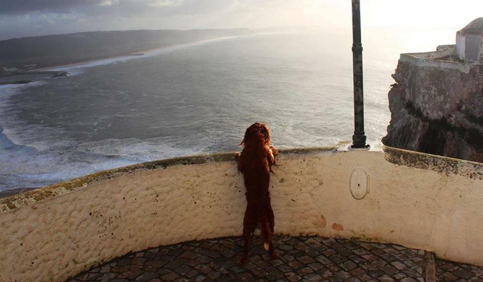 Nazare - The Little Starヴィラ エクステリア 写真